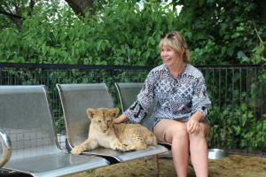 Работа 3785694