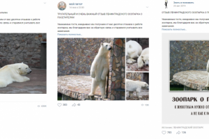 Публикации текста в крупных пабликах