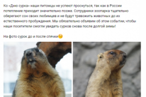 Сурки проспали "День сурка"