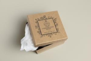 Фирменный стиль бренда "Harmonia"