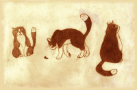 Кошки