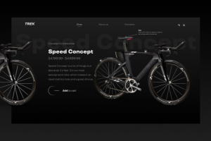 Speed concept