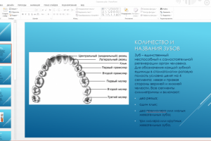 Презентация