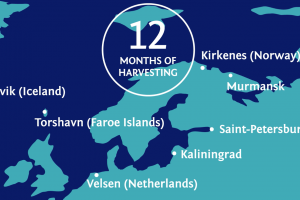 For Group (анимационный ролик для выставочного медиа экрана)