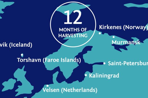изображение_2025-02-11_170915653.png