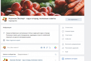 Ведение группы в соц. сетях. Тема "Сад и огород"