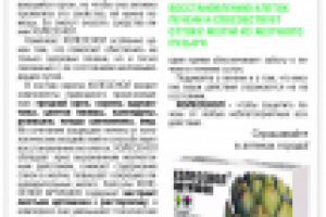 Рекламная компания РИА-Панда