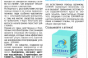 Рекламная компания РИА-Панда