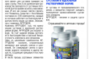 Рекламная компания РИА-Панда