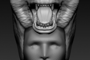 Голова Медведя