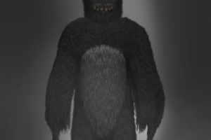 Фрэнк из фильма "Донни Дарко "