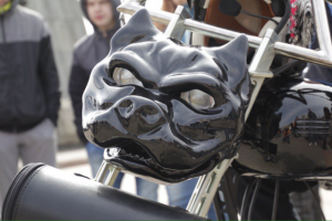 Морда на стрит-байк