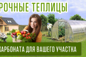 Арочные теплицы