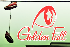 Образец музыкального ролика из видео снятого на телефон