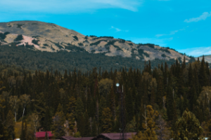 Работа 3969435