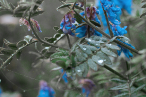 Работа 3969386