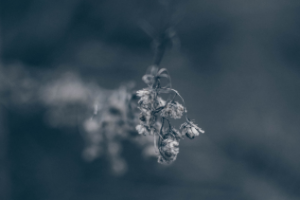 Работа 3969385