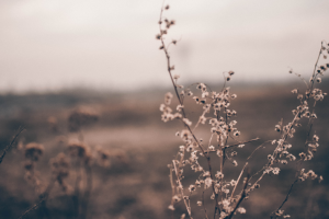 Работа 3969383