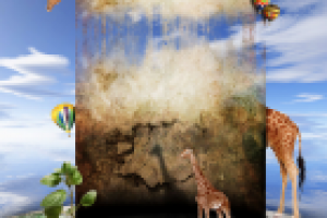 Работа 1187427