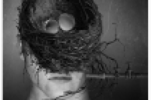 пустое гнездо