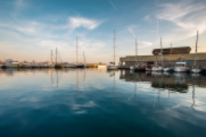 Работа 1646052