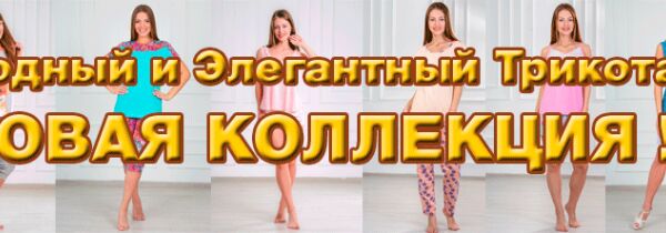img3506867.png