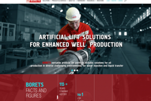 Разработка сайта международной компании BORETS