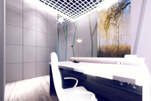 ММДЦ Москва-Сити, Башня Федерация. Коворкинг.