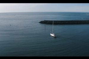 видео для skillbox