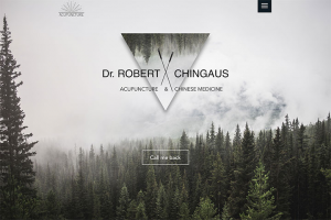 Сайт-визитка китайская медицина & иглоукалывание