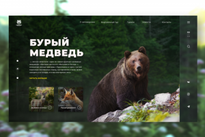 Лендинг для заповедника