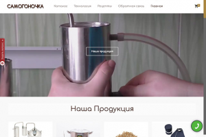 Интернет-магазин на WordPress