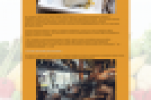 Работа 2854883