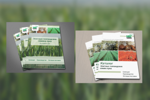 Дизайн обложки каталогов