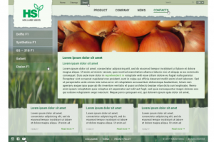 Сайт-визитка