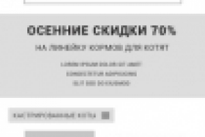 Прототип главной для мобильных устройств