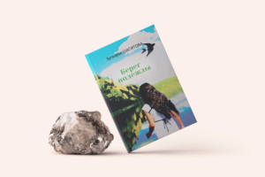 Оформление обложки книги