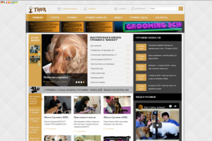 Разработка и поддержка сайта «THOR»