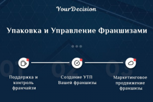 Дизайн презентации проекта для инвесторов (1 из слайдов)