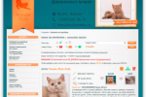 Сайт-каталог питомника кошек