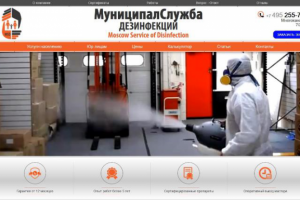 Сайт сервиса в Москве