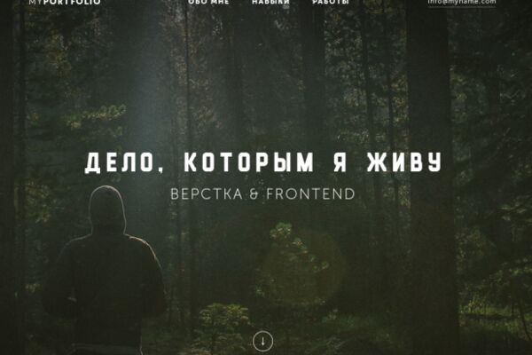 img3382968.png