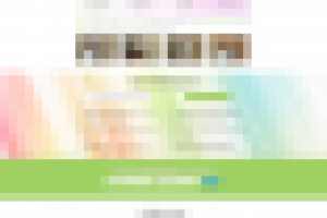 LP Дез-Гарант