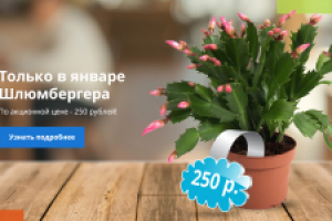 Двухслойный баннер для сайта с адаптивным дизайном