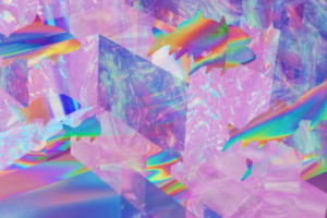 ScetchApp 3D, Indesign, Photoshop