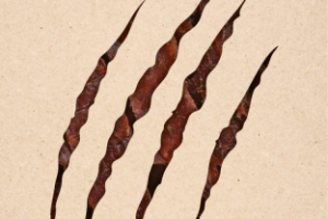 Упаковка мясных снэков