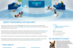 дизайн сайта  Белый клык