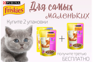 реклама корма для котят