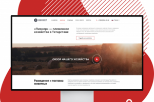 «Пионер» — племенное хозяйство в Татарстане
