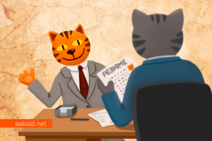 Кот для блога